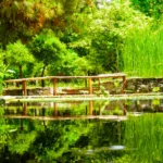 Botanical Gardens