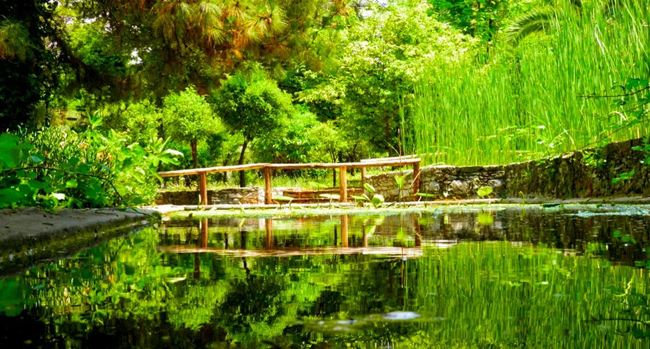 Botanical Gardens