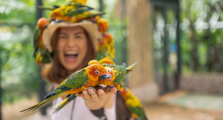 Attica Zoological Park